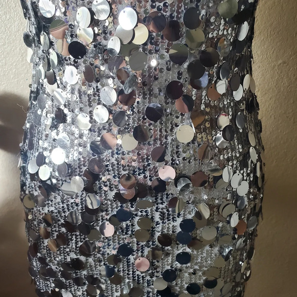 Petal & Pup Silver Sequin Midi Dress - Picture 6 of 14